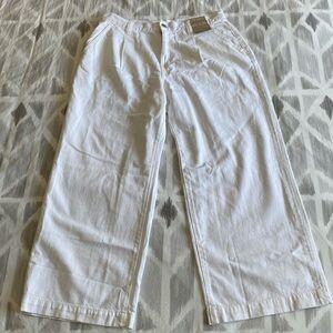 Madewell NWT Harlow Wide-Leg Jean: Airy Denim Edition